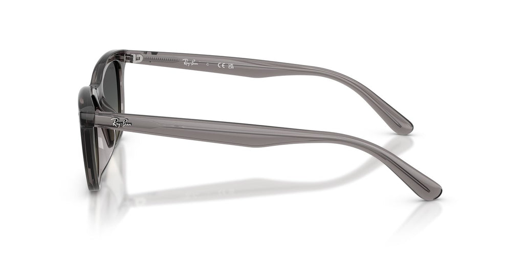Ray-Ban | 0RB4474D