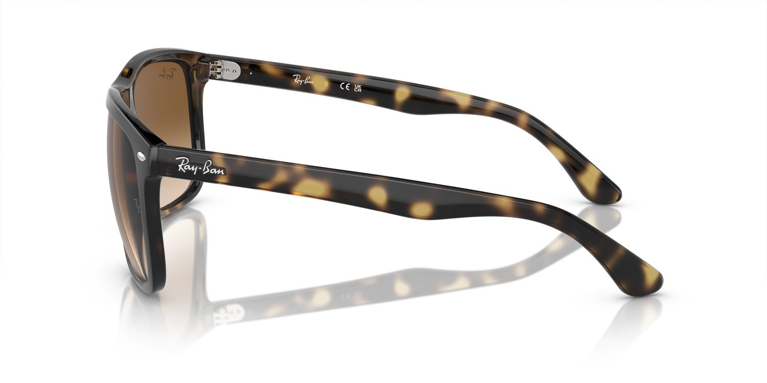 Ray-Ban | 0RB4547