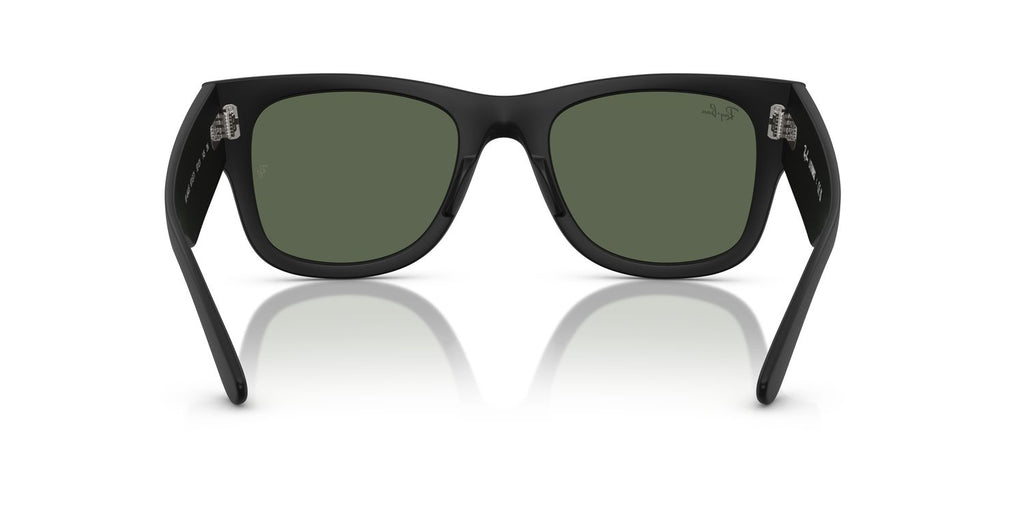 Ray-Ban | 0RB4840S
