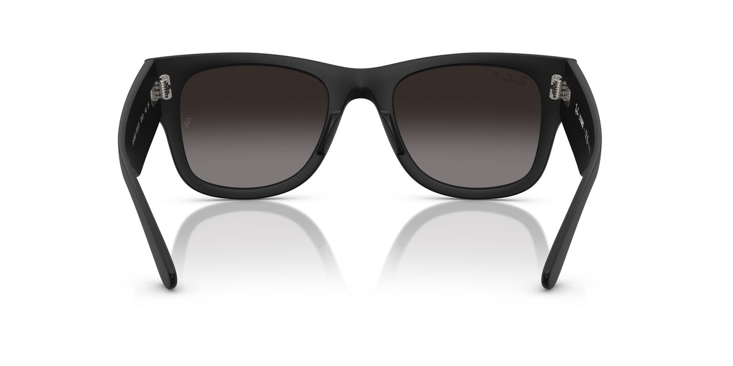 Ray-Ban | 0RB4840S