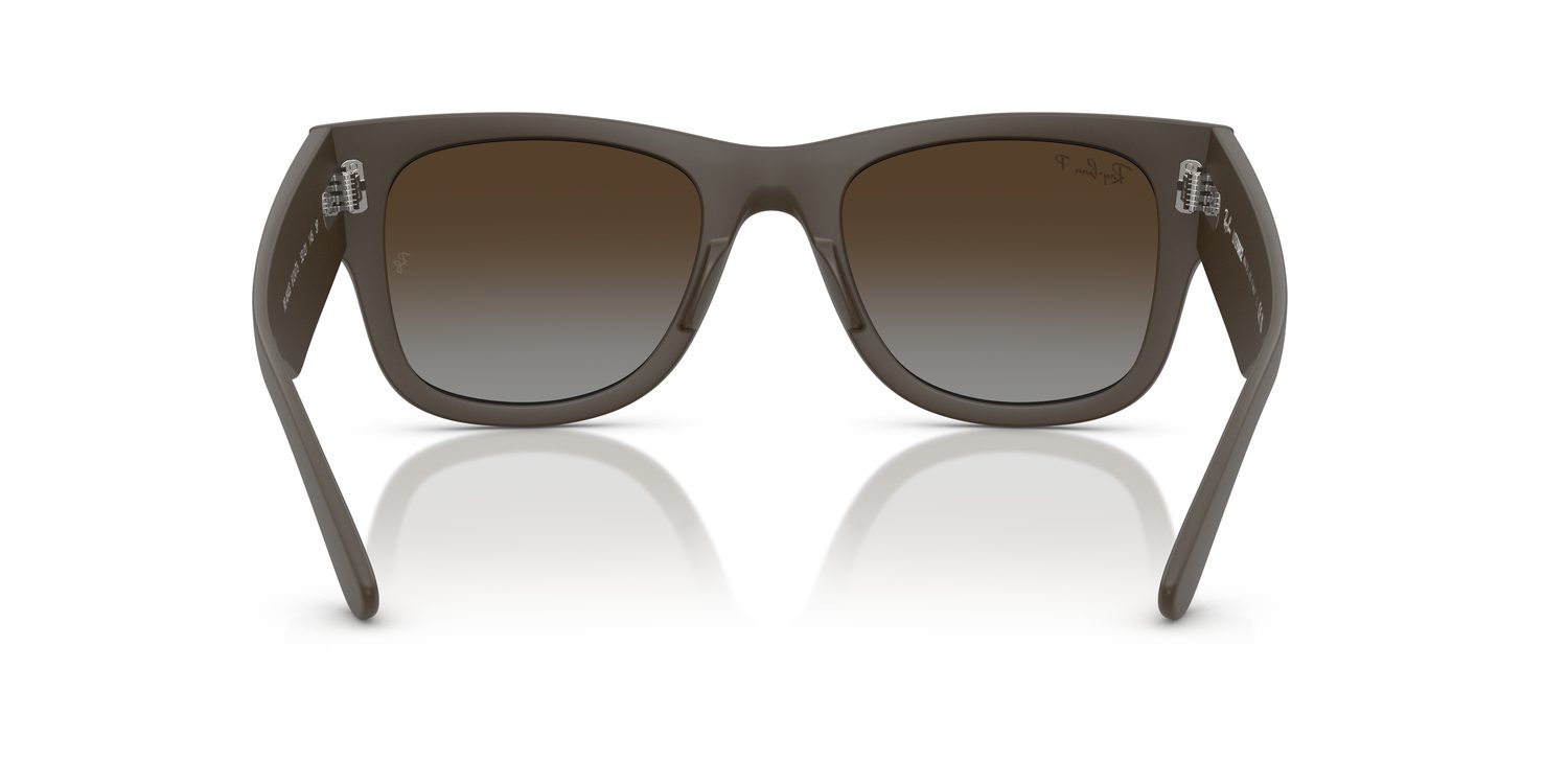 Ray-Ban | 0RB4840S