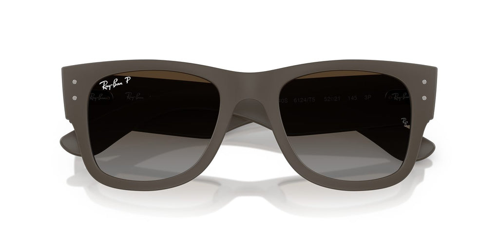 Ray-Ban | 0RB4840S