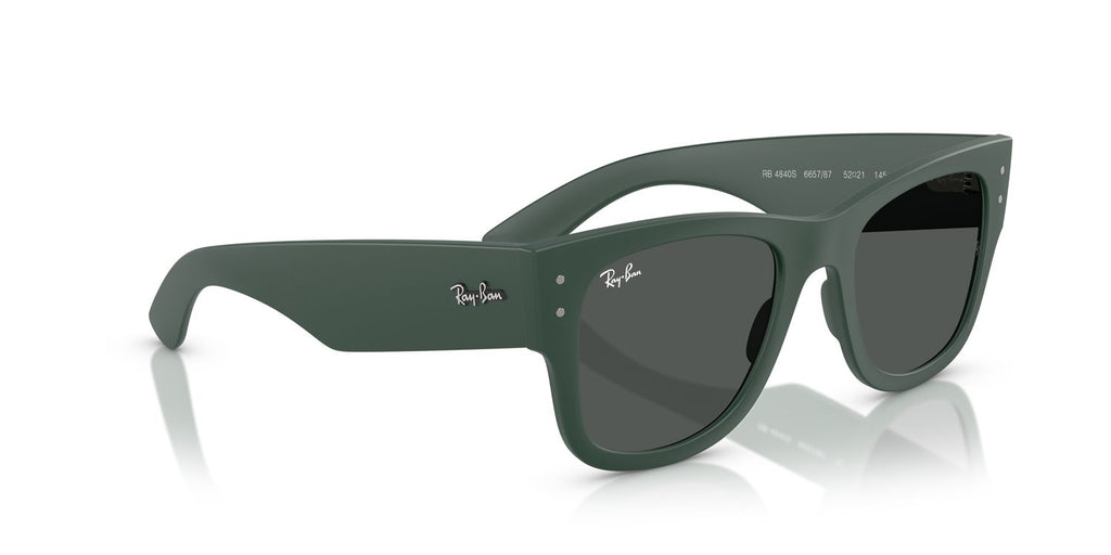 Ray-Ban | 0RB4840S