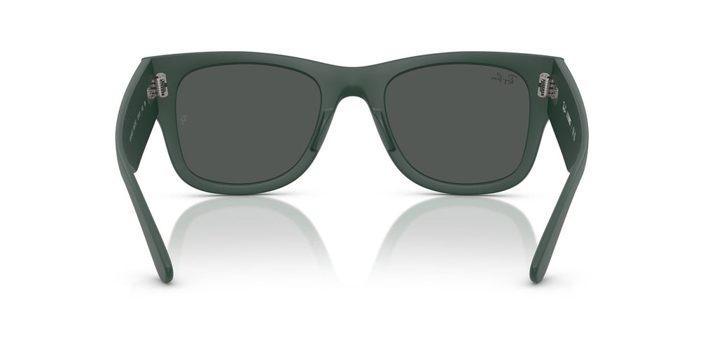 Ray-Ban | 0RB4840S