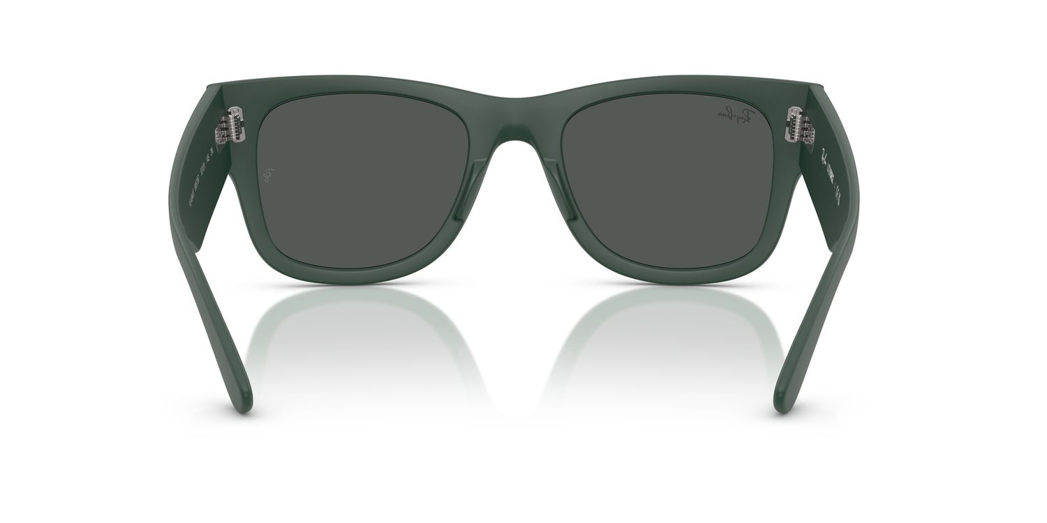 Ray-Ban | 0RB4840S