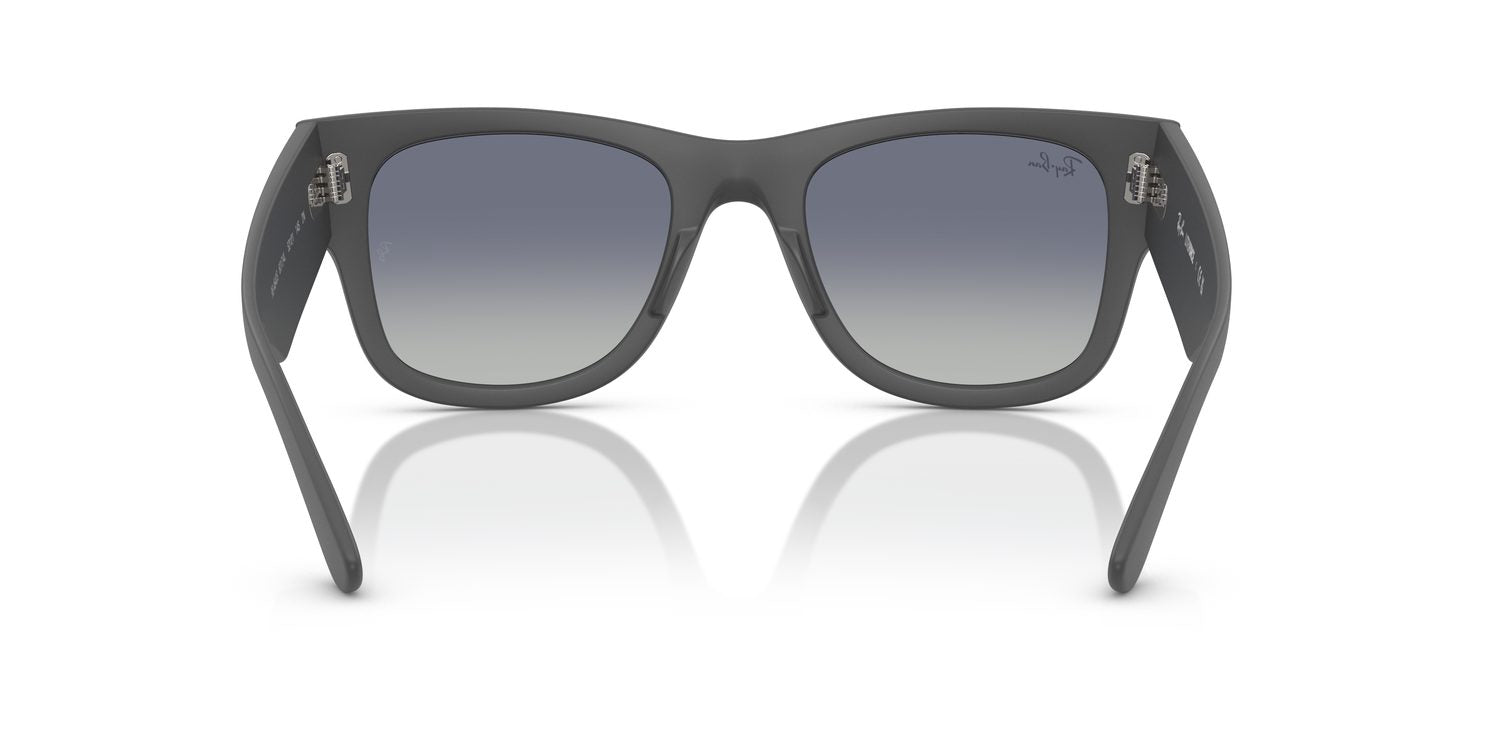 Ray-Ban | 0RB4840S