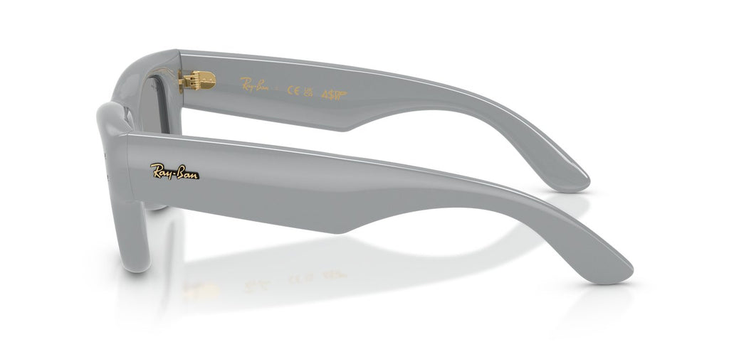 Ray-Ban | 0RB4940