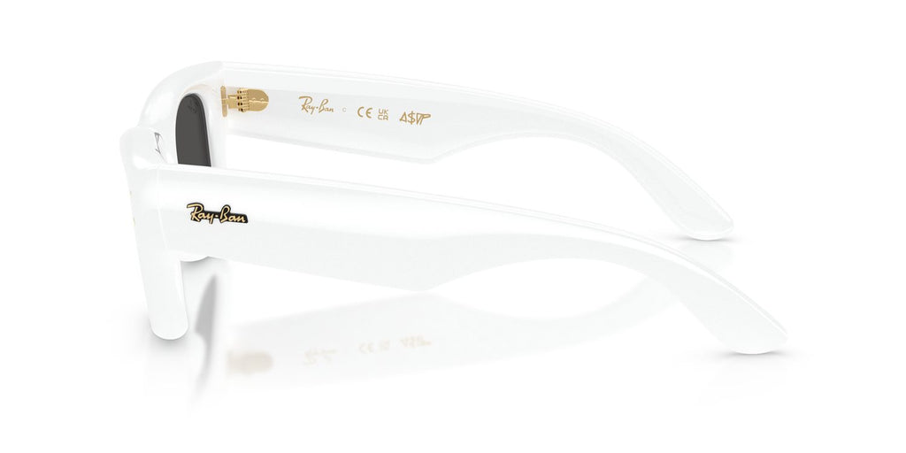 Ray-Ban | 0RB4940