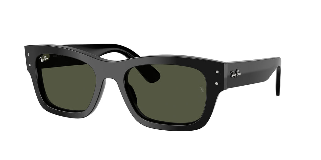 Ray-Ban | 0RB7683S