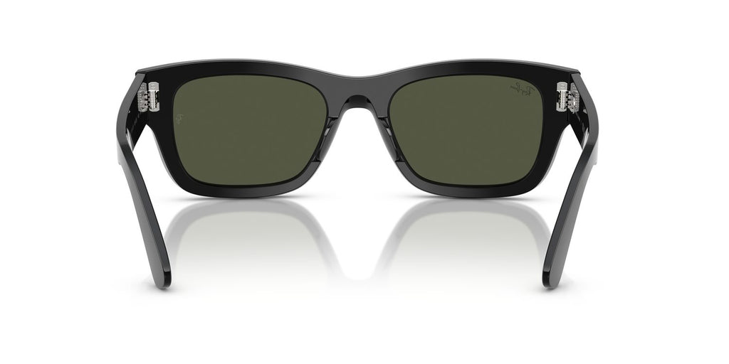 Ray-Ban | 0RB7683S