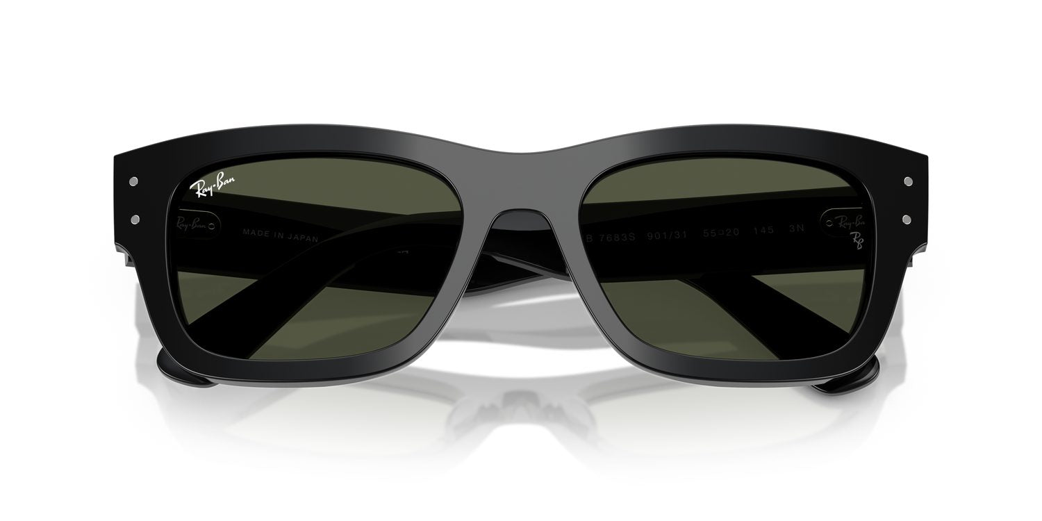 Ray-Ban | 0RB7683S