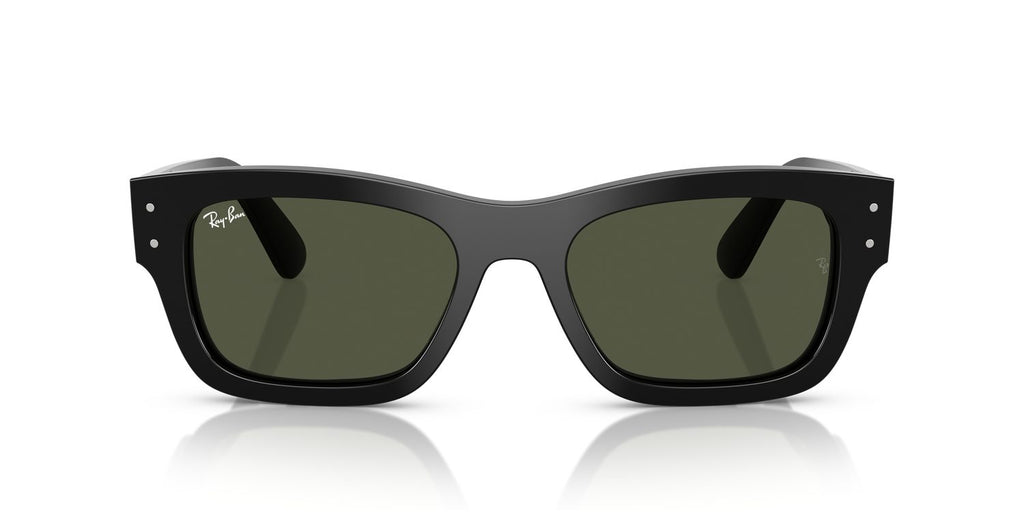 Ray-Ban | 0RB7683S
