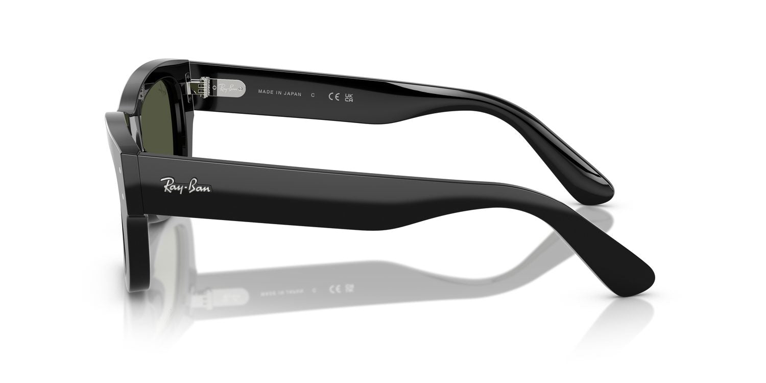 Ray-Ban | 0RB7683S