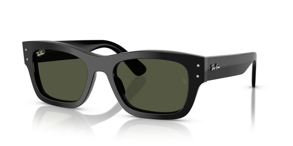Ray-Ban | 0RB7683S