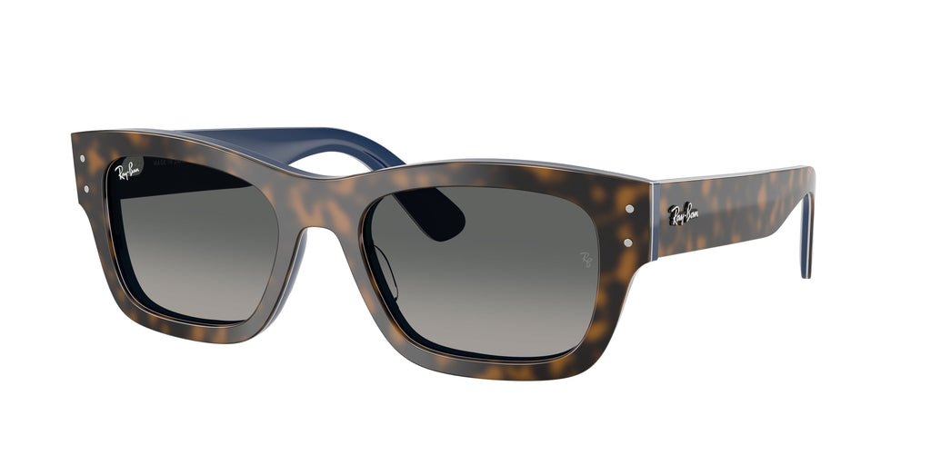Ray-Ban | 0RB7683S