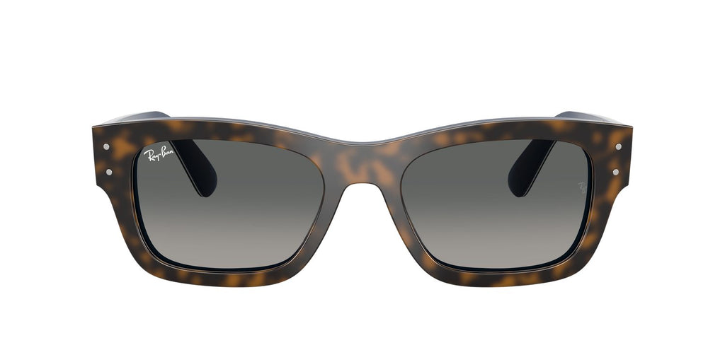 Ray-Ban | 0RB7683S
