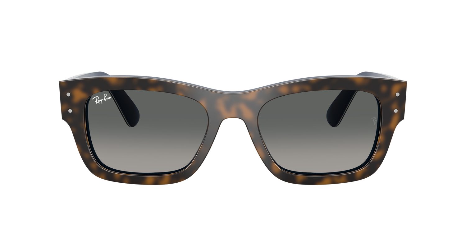 Ray-Ban | 0RB7683S