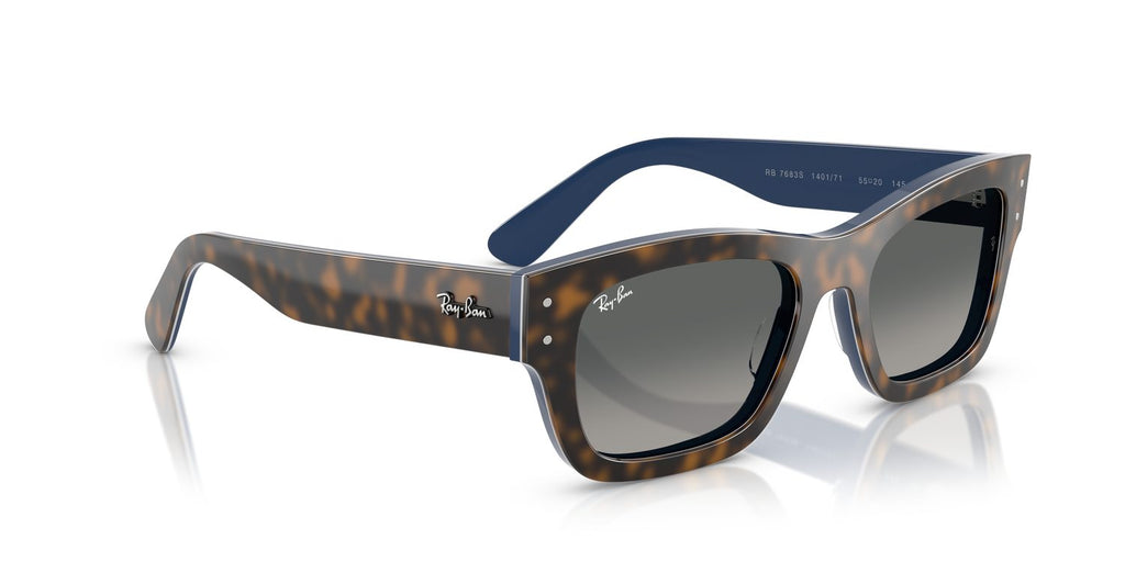 Ray-Ban | 0RB7683S