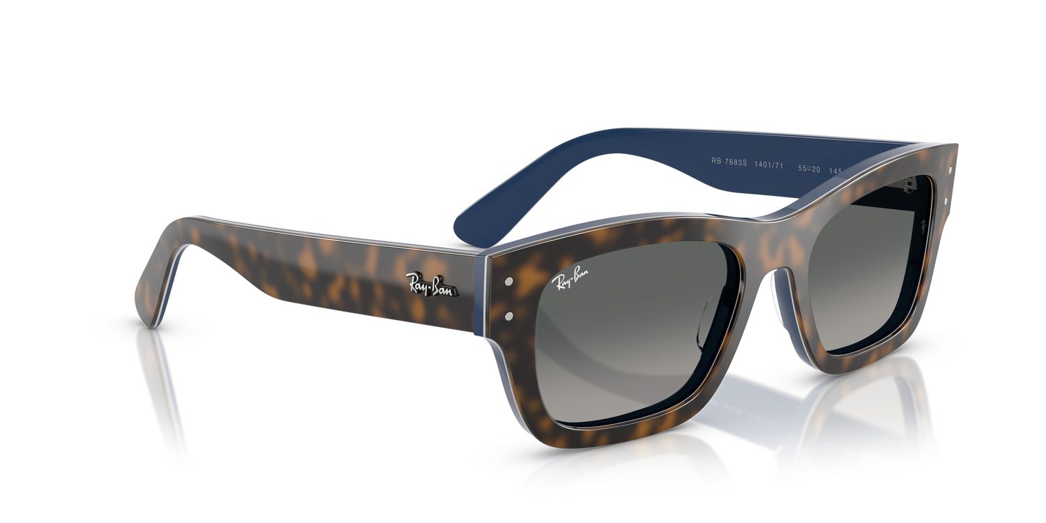 Ray-Ban | 0RB7683S