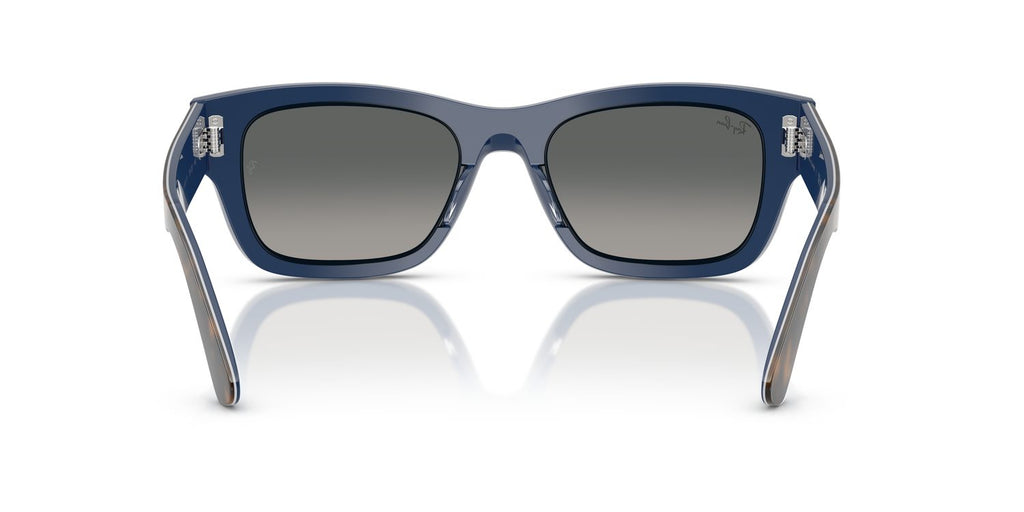 Ray-Ban | 0RB7683S