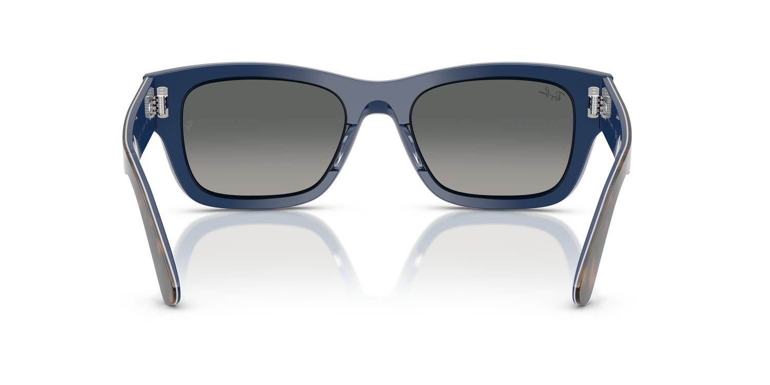Ray-Ban | 0RB7683S