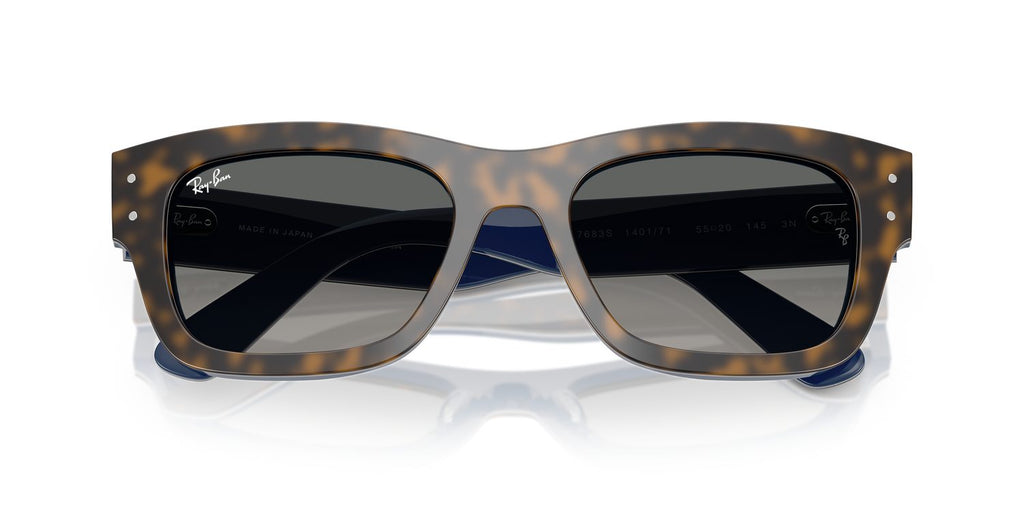 Ray-Ban | 0RB7683S
