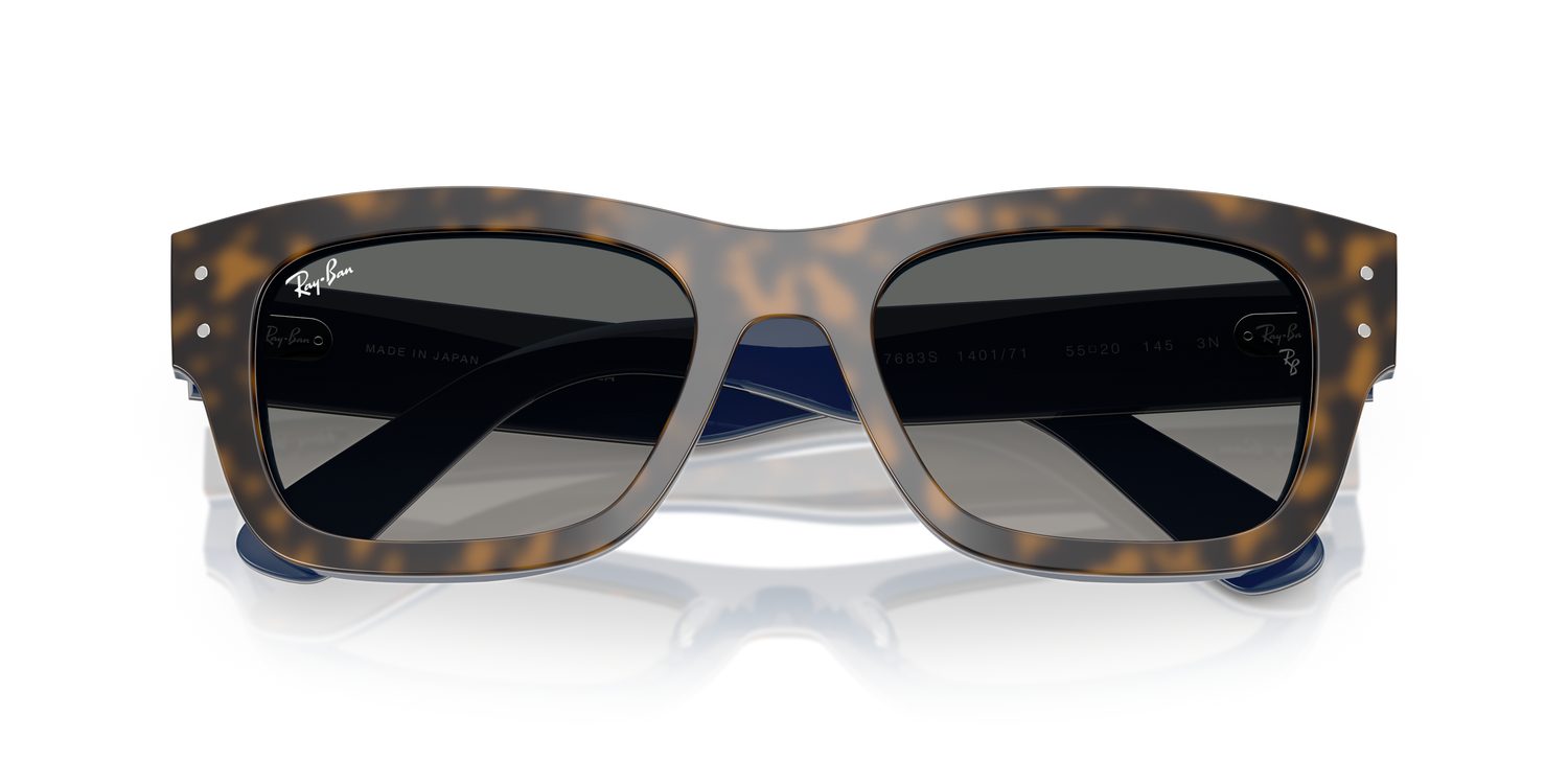 Ray-Ban | 0RB7683S