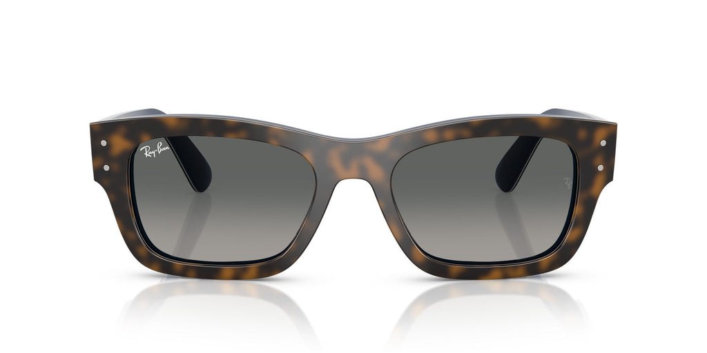 Ray-Ban | 0RB7683S