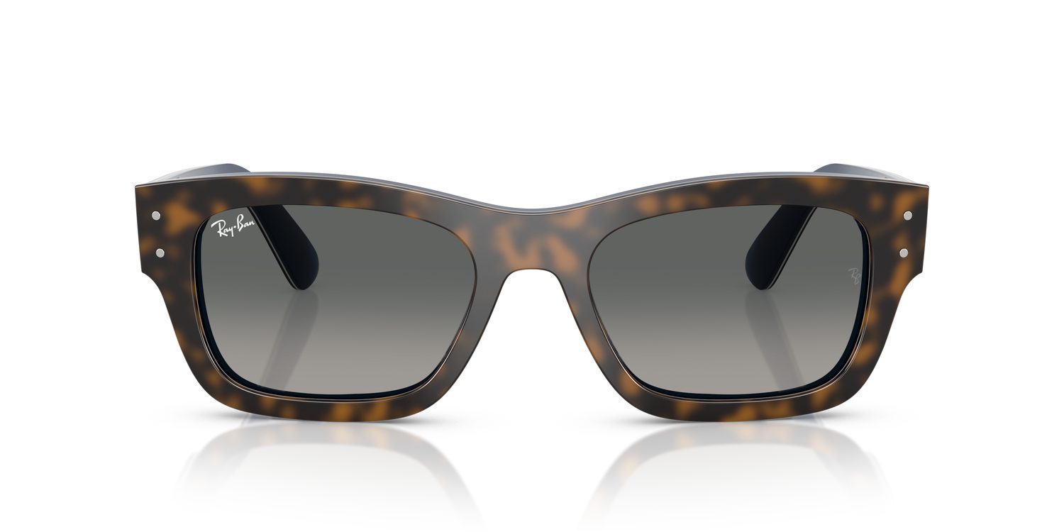 Ray-Ban | 0RB7683S