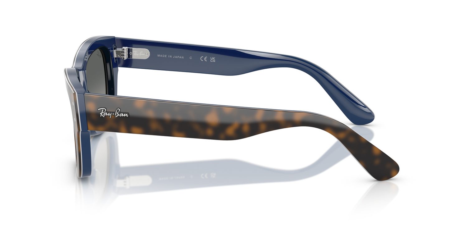 Ray-Ban | 0RB7683S