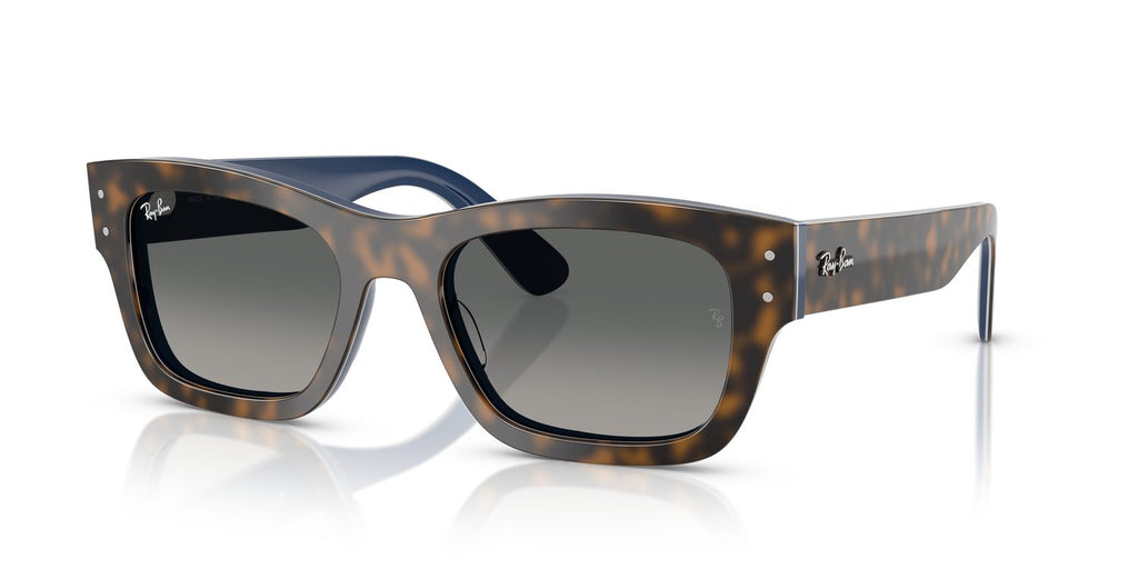 Ray-Ban | 0RB7683S