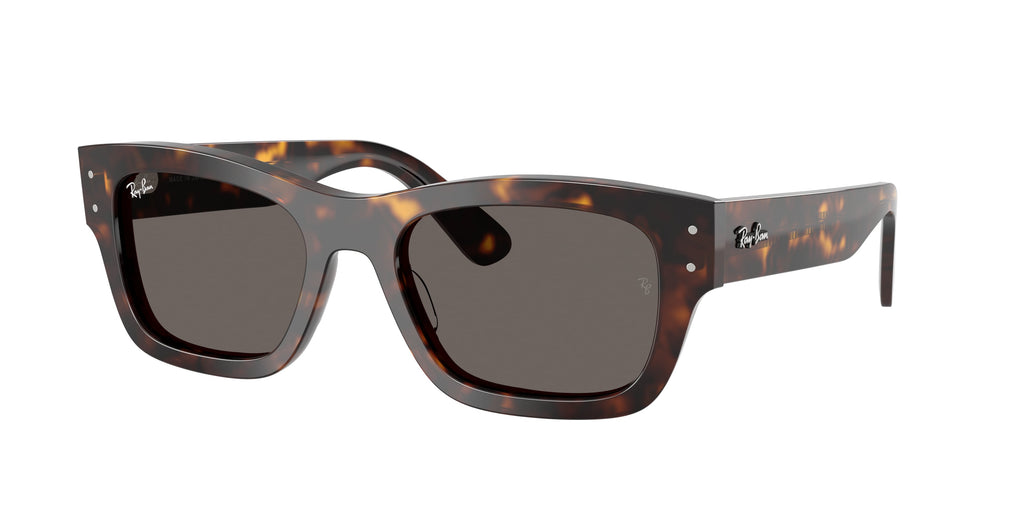 Ray-Ban | 0RB7683S