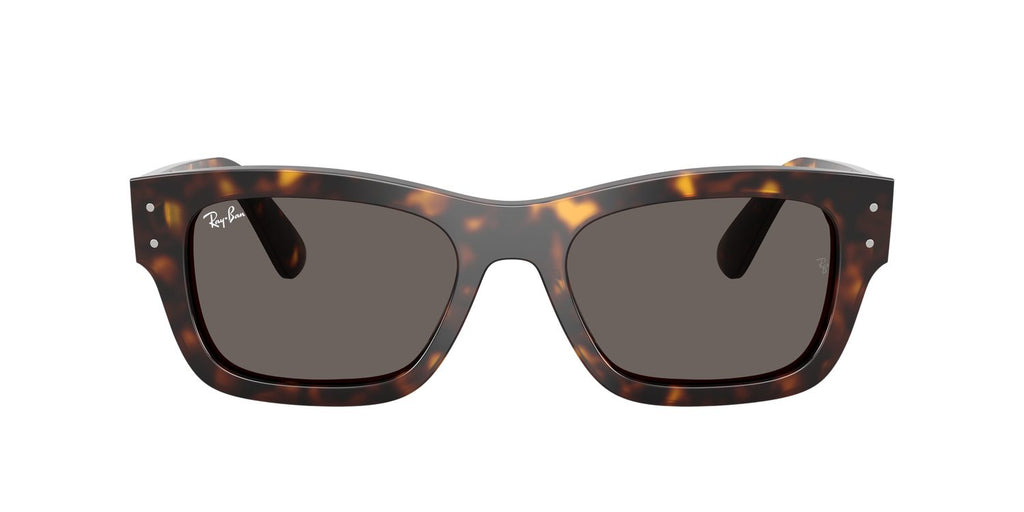 Ray-Ban | 0RB7683S