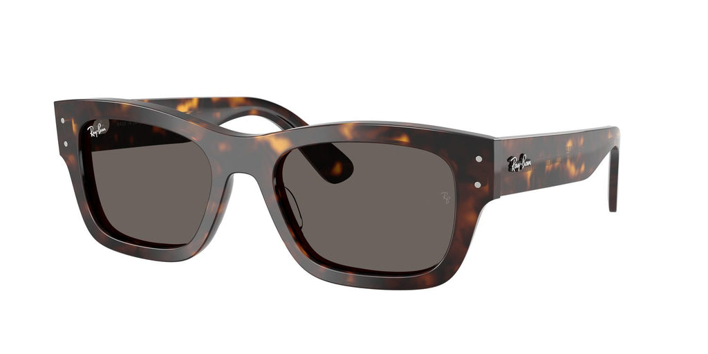 Ray-Ban | 0RB7683S