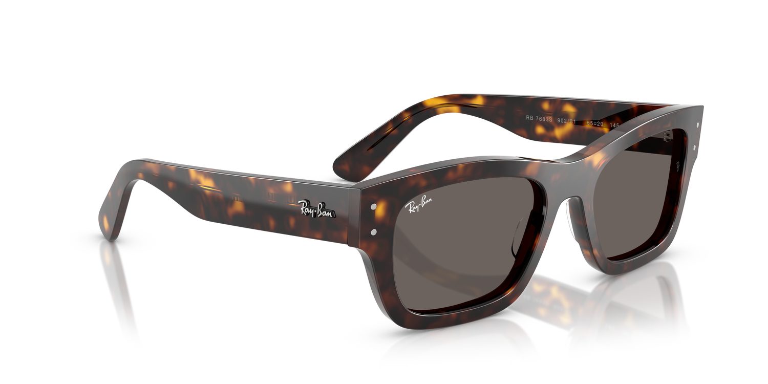 Ray-Ban | 0RB7683S
