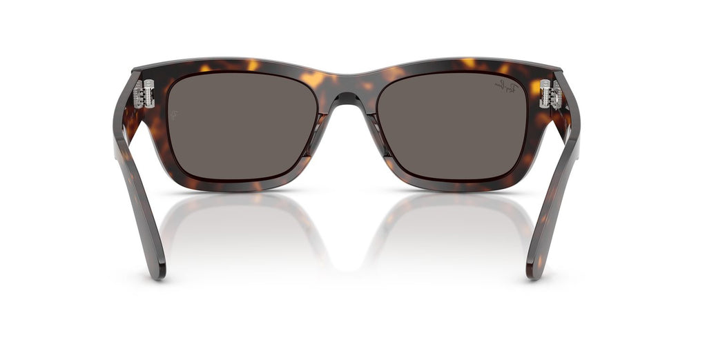 Ray-Ban | 0RB7683S