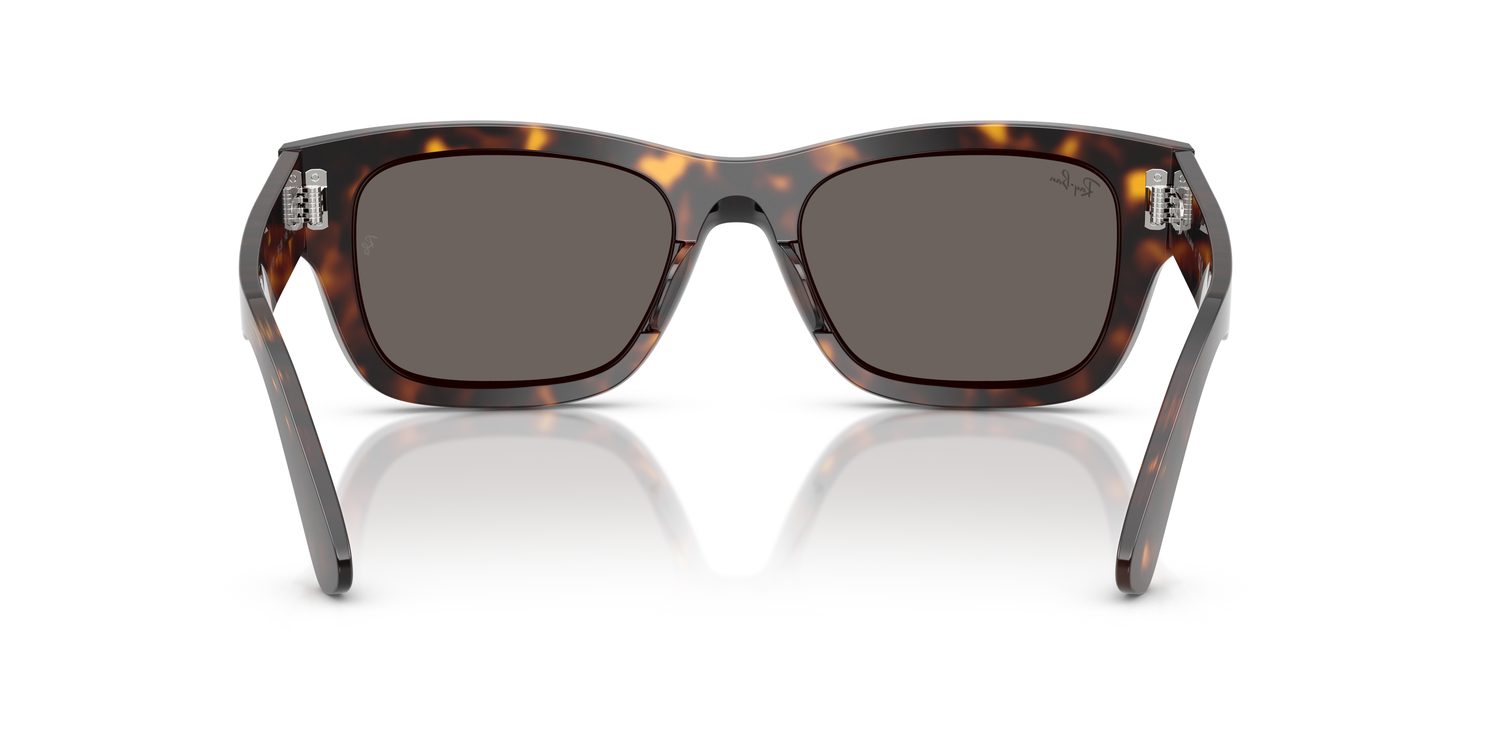 Ray-Ban | 0RB7683S
