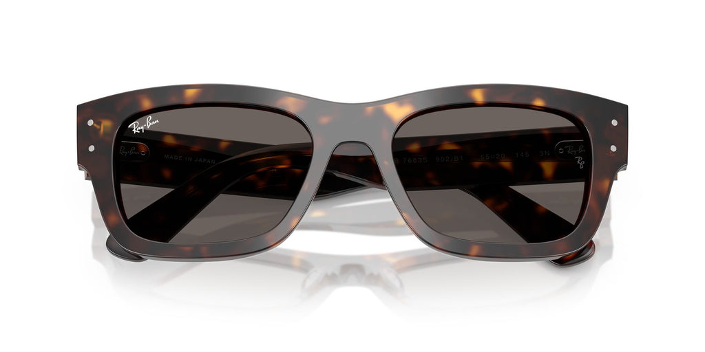 Ray-Ban | 0RB7683S