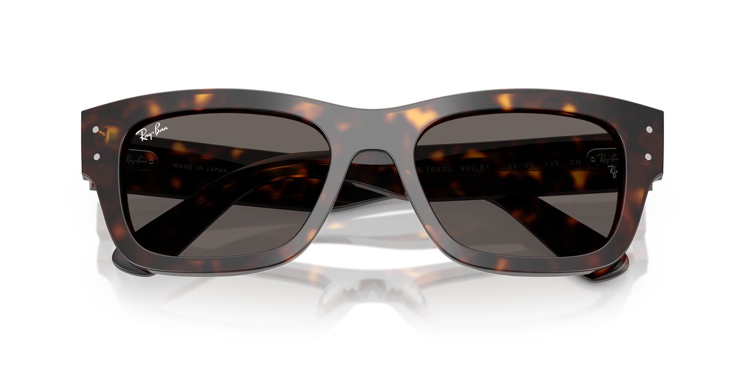 Ray-Ban | 0RB7683S