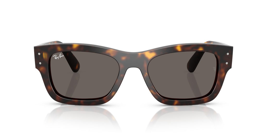 Ray-Ban | 0RB7683S