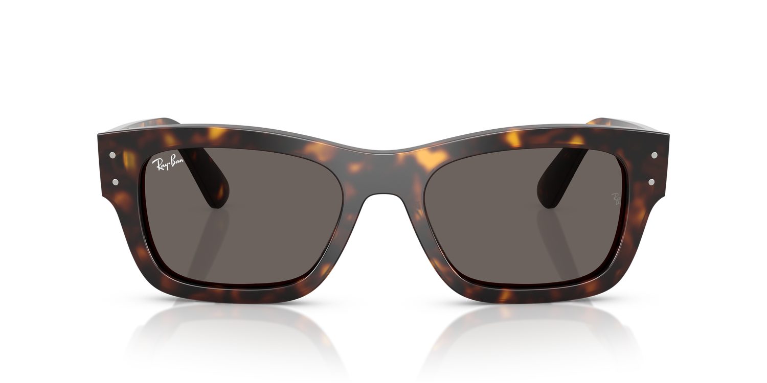 Ray-Ban | 0RB7683S