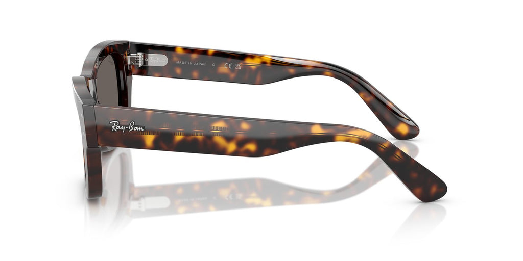Ray-Ban | 0RB7683S
