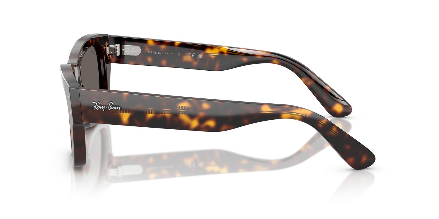 Ray-Ban | 0RB7683S