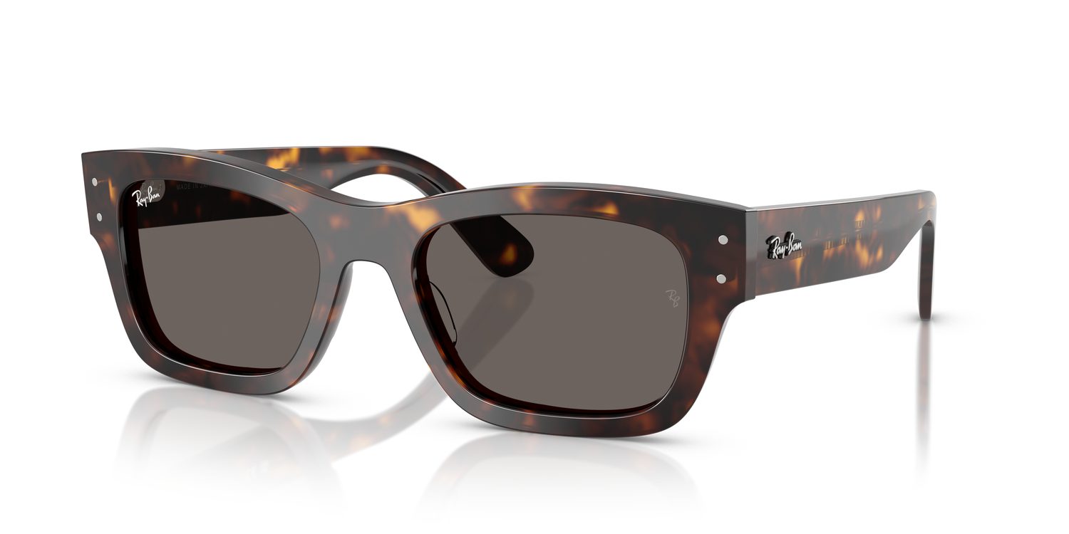 Ray-Ban | 0RB7683S