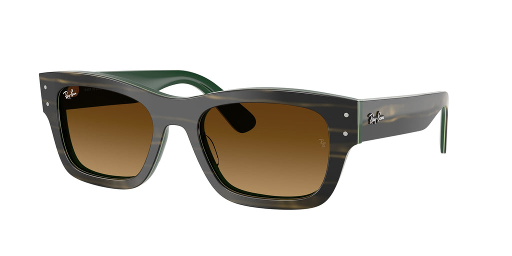 Ray-Ban | 0RB7683S