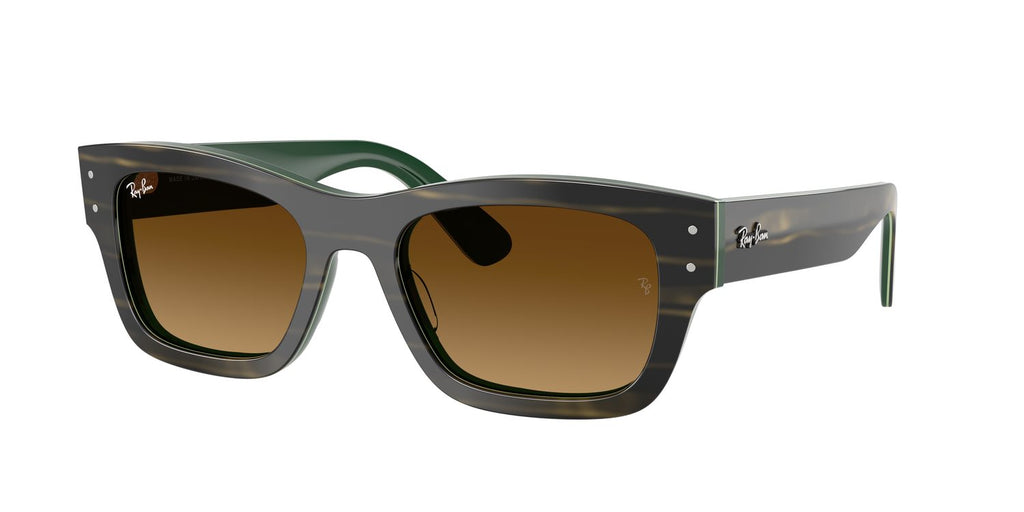 Ray-Ban | 0RB7683S