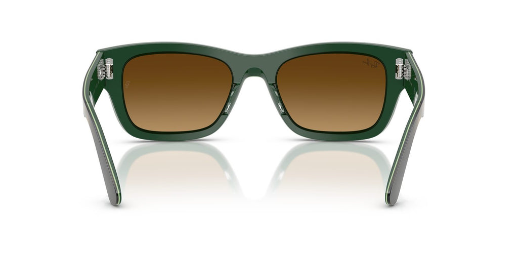 Ray-Ban | 0RB7683S