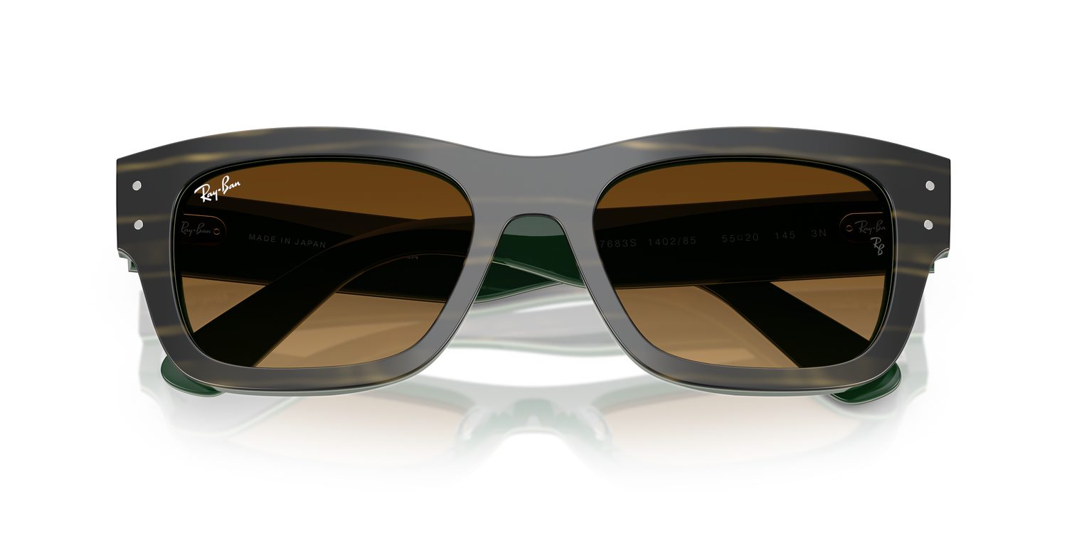 Ray-Ban | 0RB7683S