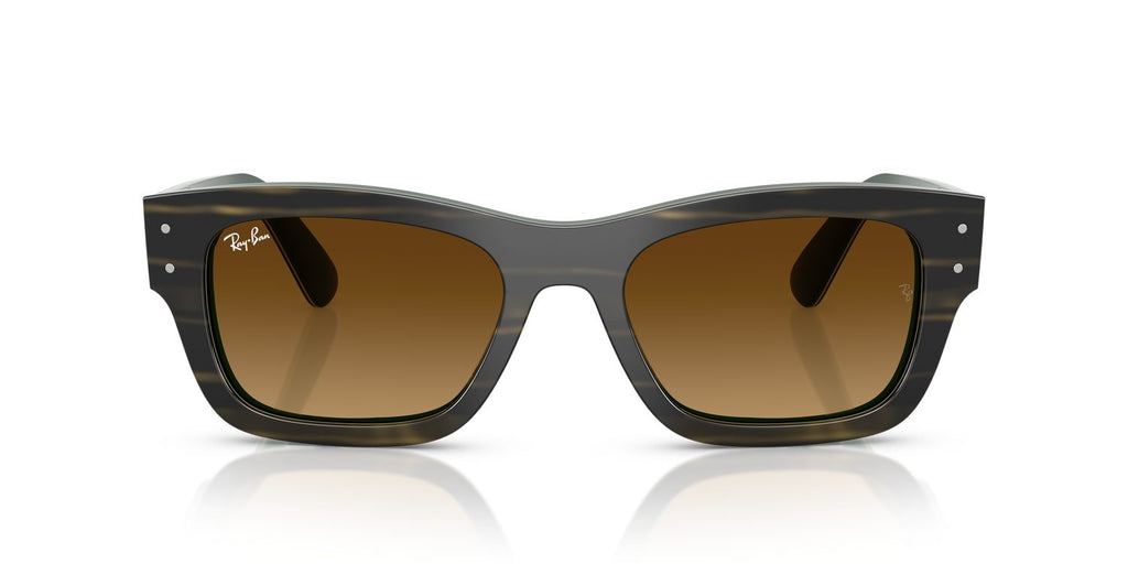 Ray-Ban | 0RB7683S