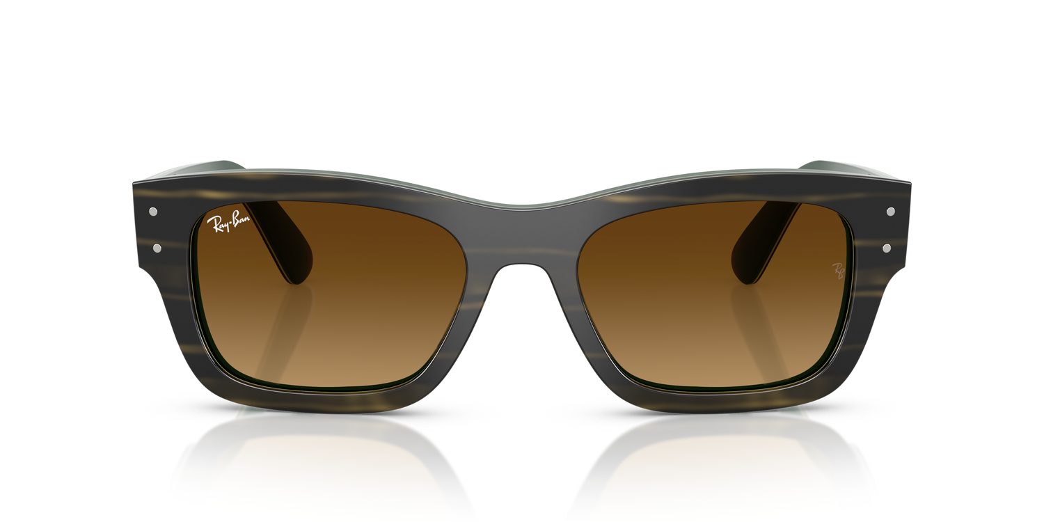 Ray-Ban | 0RB7683S